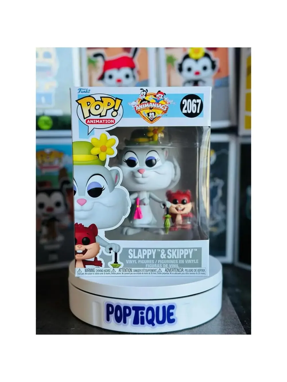 Animaniacs Slappy & Skippy Funko Pop! and Buddy #2067